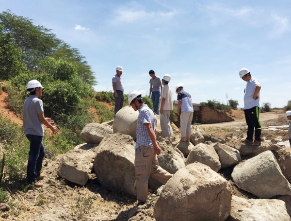 肯尼亚总统高度赞赏，乞力马扎罗山下江南网页版绿闪耀