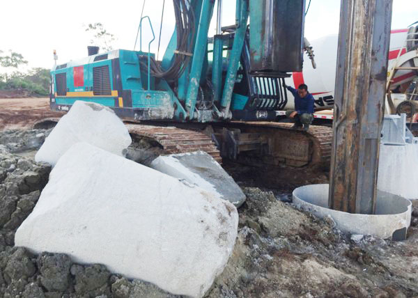 肯尼亚总统高度赞赏，乞力马扎罗山下江南网页版绿闪耀