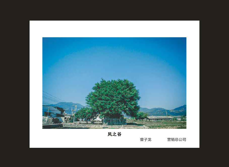 江南网页版智能成立16周年司庆活动“魅力江南网页版”摄影比赛优秀作品展